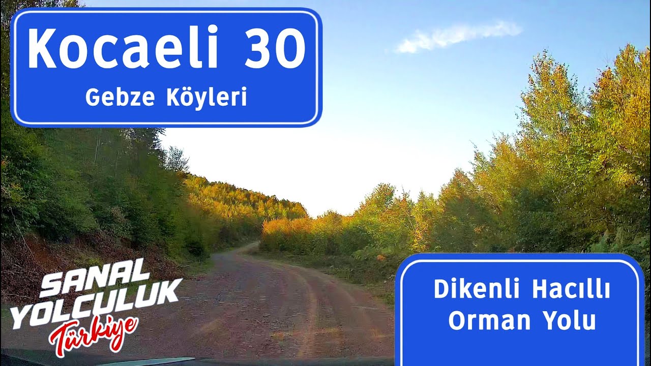 Kocaeli 30: Gebze Dikenli Hacıllı Orman Yolu