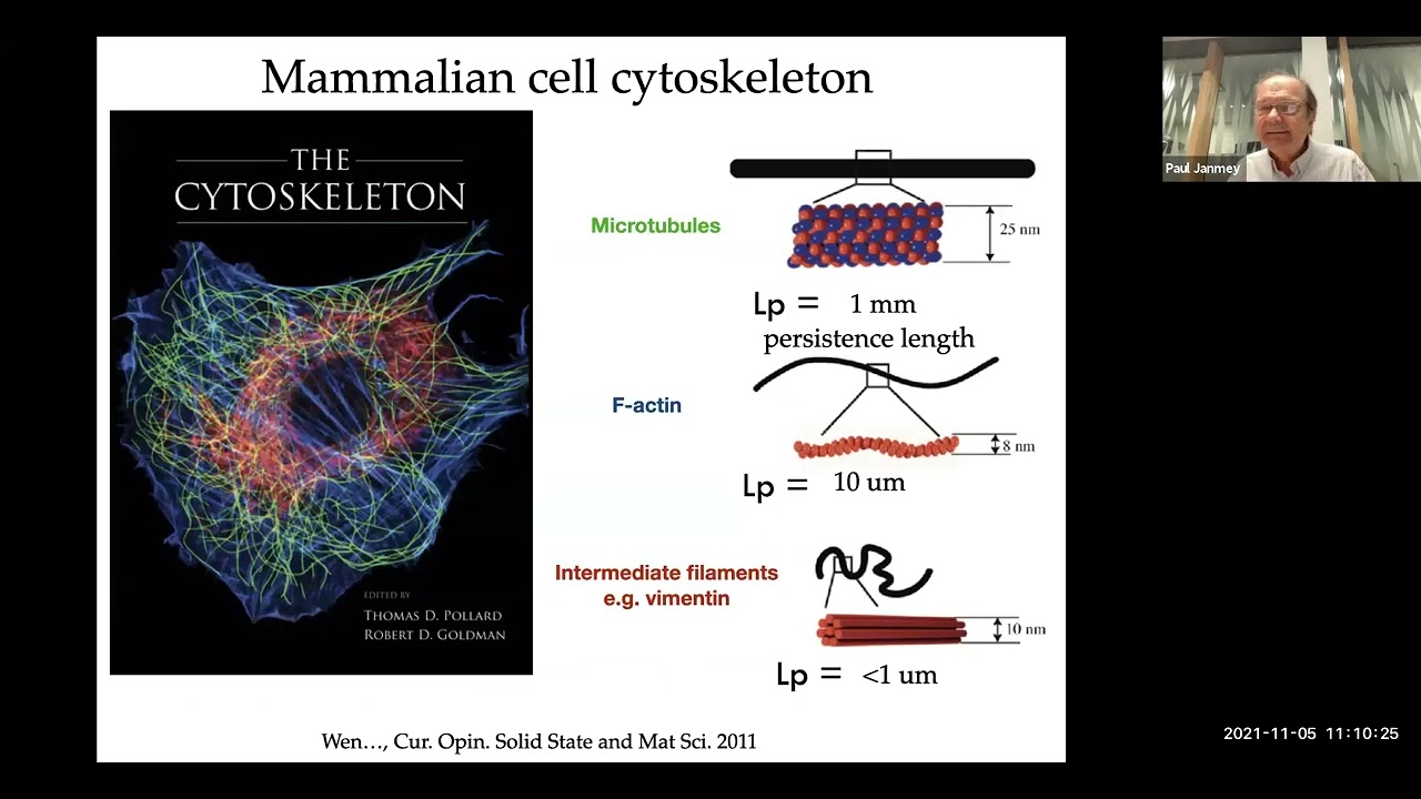 Paul Janmey, tutorial: Polymer physics of biological materials