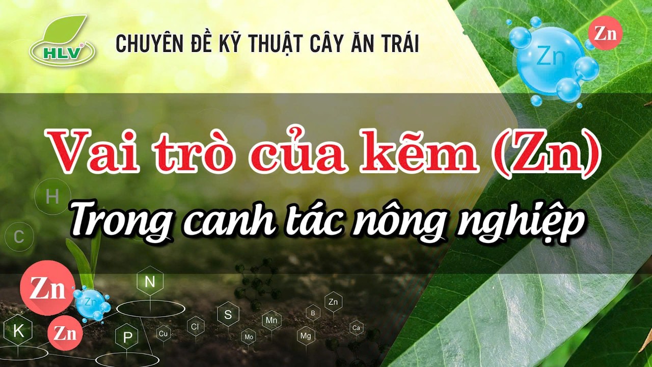 Chuyên Đề Kỹ Thuật C.A.T Kỳ 006: Vai Trò Của Kẽm Trong Canh Tác Nông Nghiệp