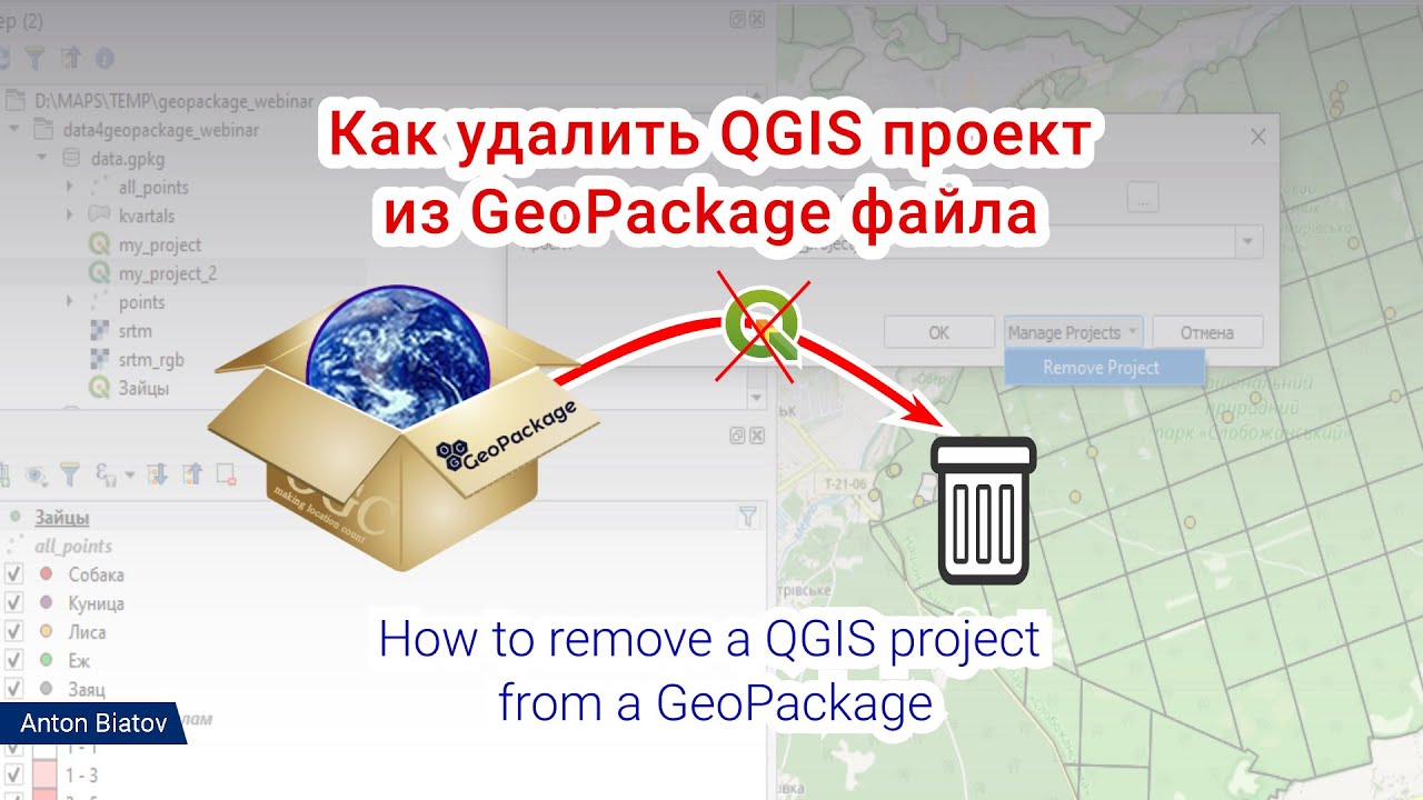 Как удалить QGIS проект из GeoPackage файла