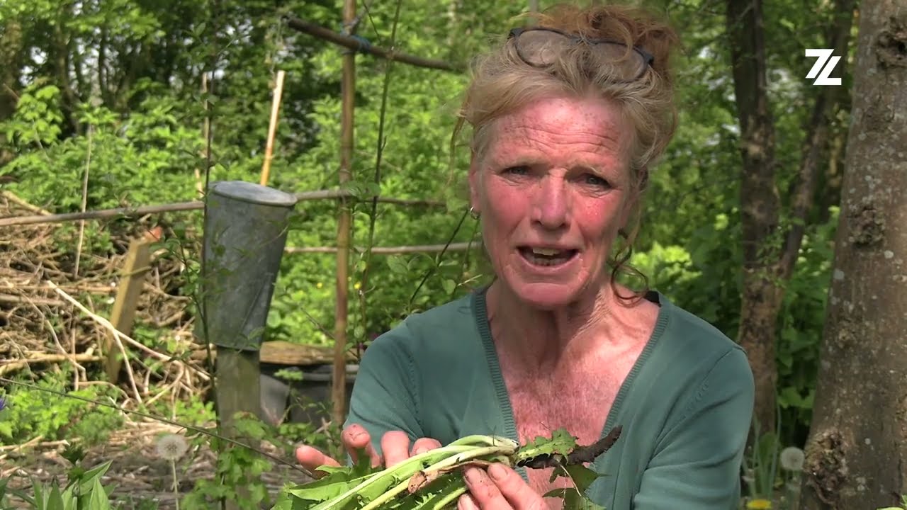 Karin Gort uit Tzum wil met natuurtuin mensen enthousiast maken over groen