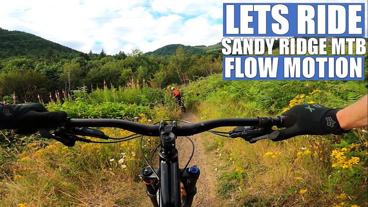 Trail-Review \\ FLOW MOTION  \\ Sandy Ridge MTB Trail system