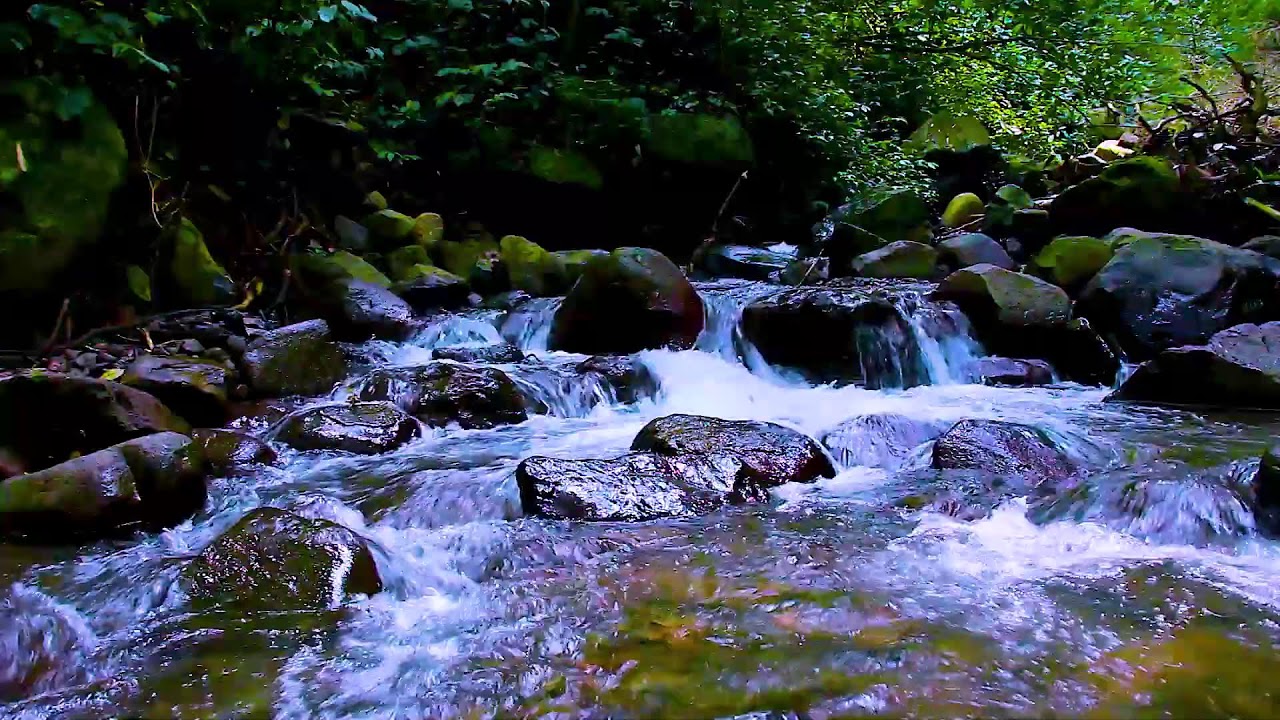 Calm Anxiety Fast with Mountain River Flowing Water Sounds, Natural White Noise Therapy