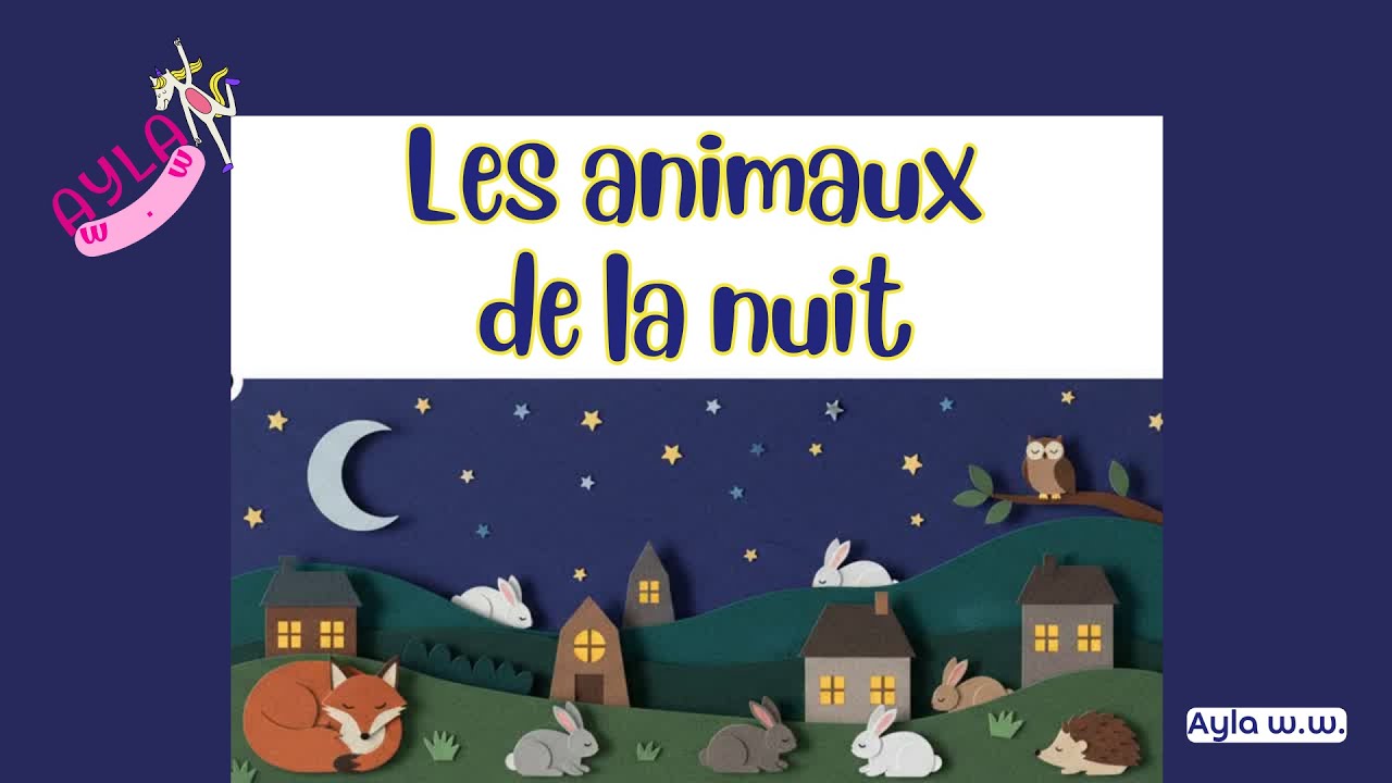 Les animaux de la nuit 🌙 (nocturnes) : leurs super-pouvoirs ! | Explication simple | 5–7 ans