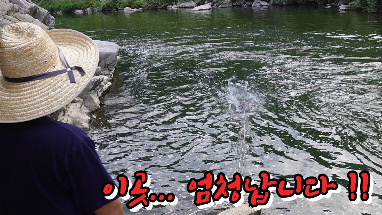 어두워지면 낚시도 통발도 막 나옵니다!!