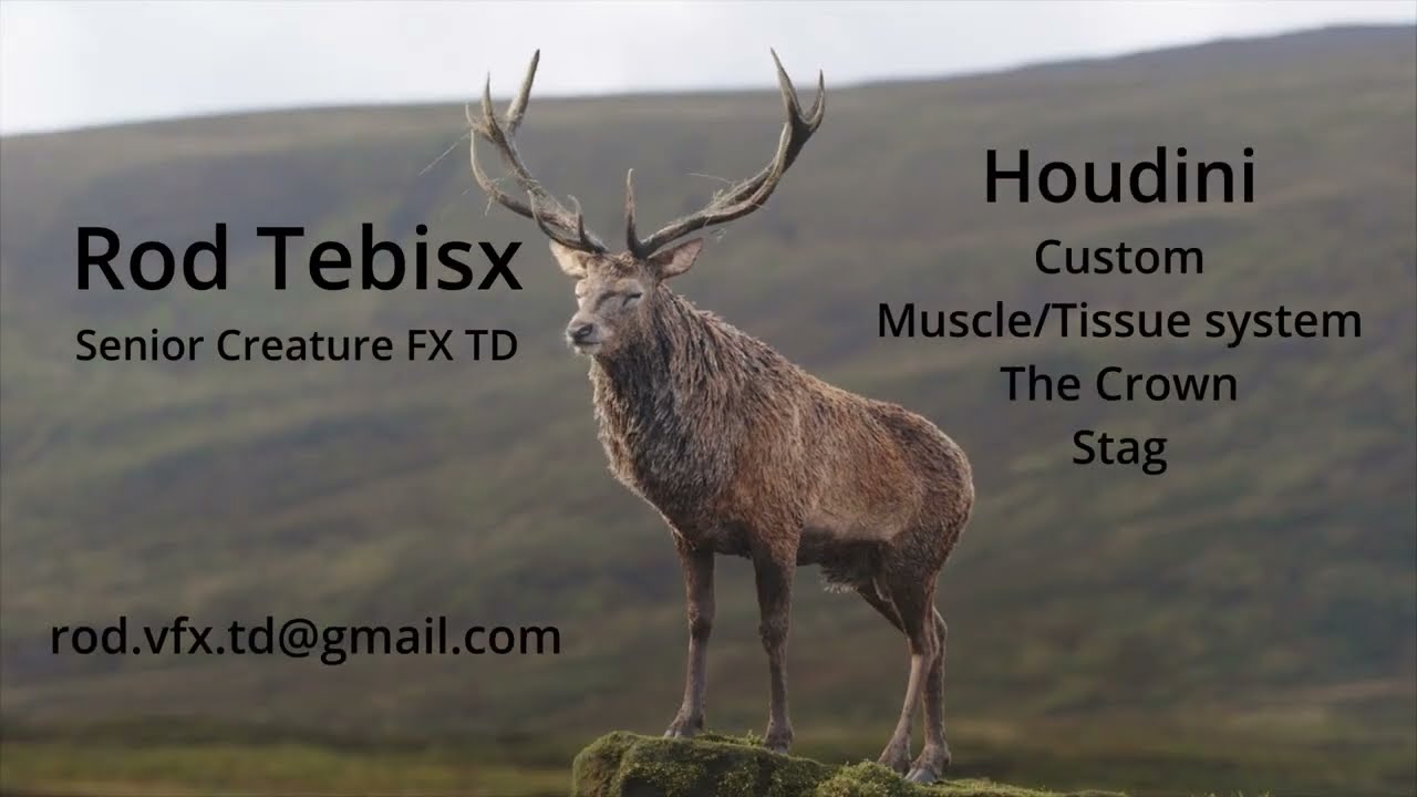 CFX | Stag | The Crown | Houdini Custom Tissue/Muscle Sys | Mini Reel/Breakdown