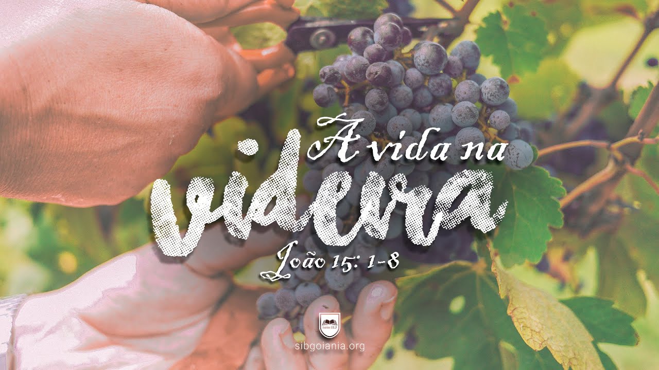 João 15.1-8 - A Vida na Videira |Pr. Leandro B. Peixoto