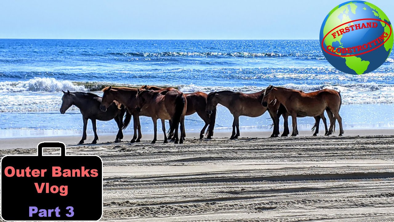 Outer Banks, North Carolina travel vlog Part 3 - Wild mustangs, driving on a beach & amazing views!