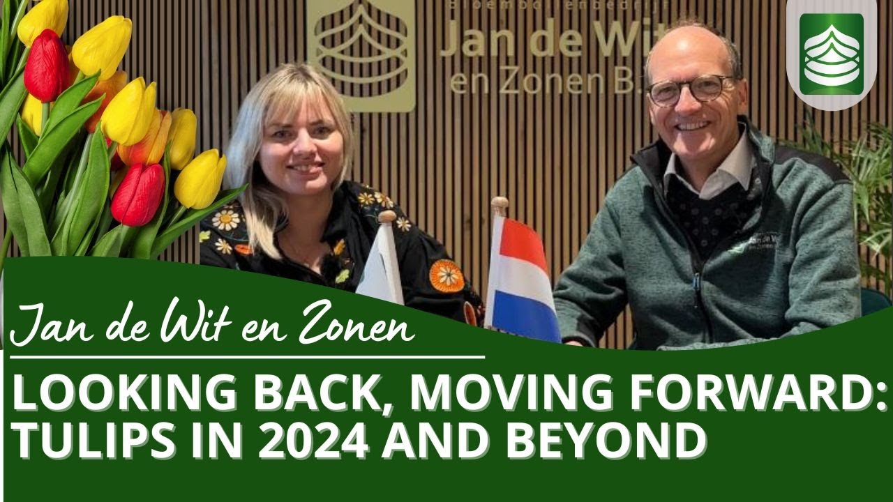 Looking Back, Moving Forward: Tulips in 2024 and Beyond | Tulip bulb exporter | Jan de Wit en Zonen
