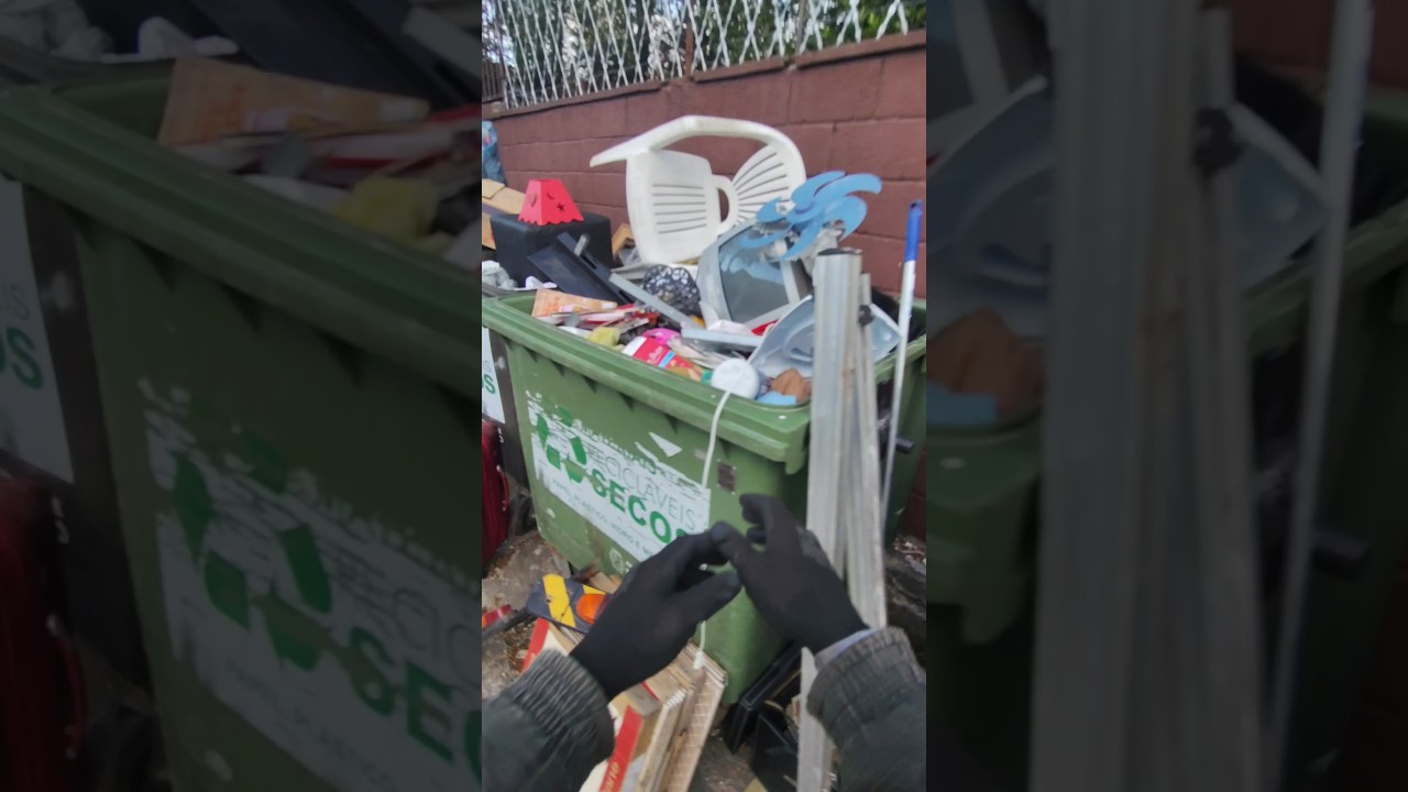 Ca&ccedil;ada no condom&iacute;nio #youtubeshorts #viralvideo #dumpsterdiving #reciclagem #brasil