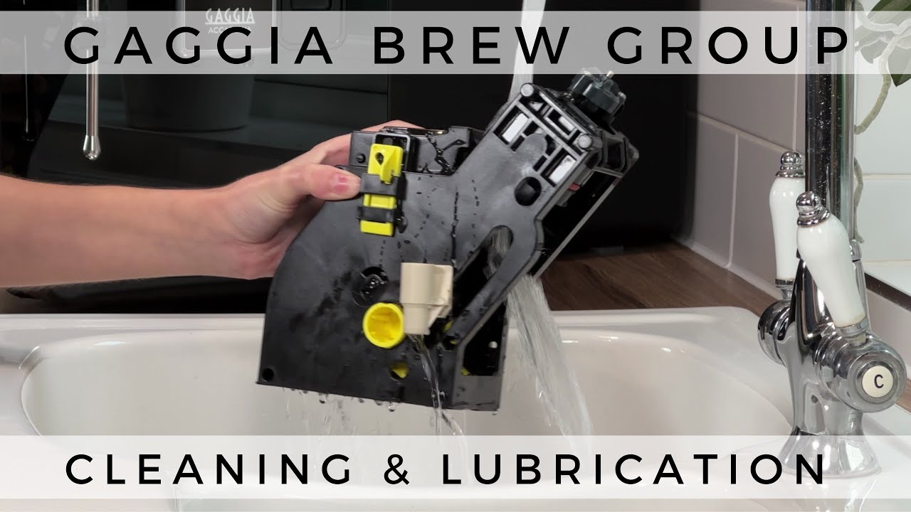 Gaggia Accademia 2022 - How to Clean and Lubricate the Brew Group