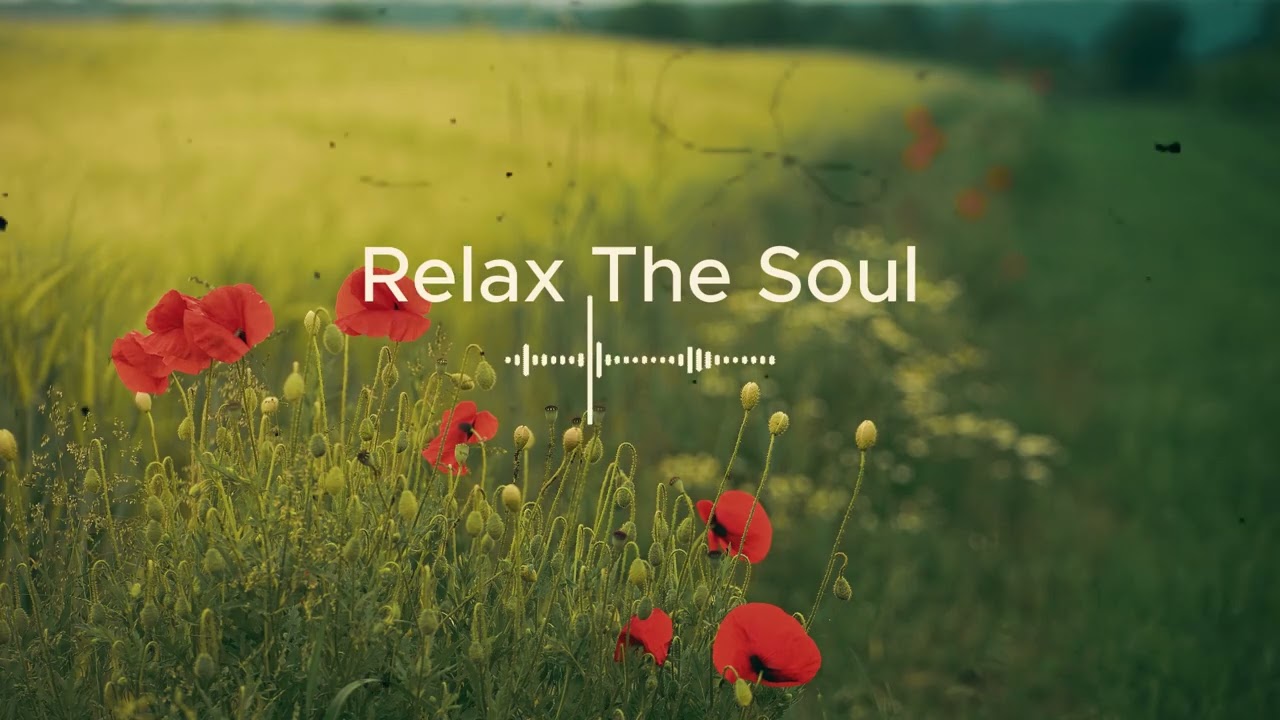 Beautiful Quiet Life In The Field – Soft Piano (Cozy & Peaceful)