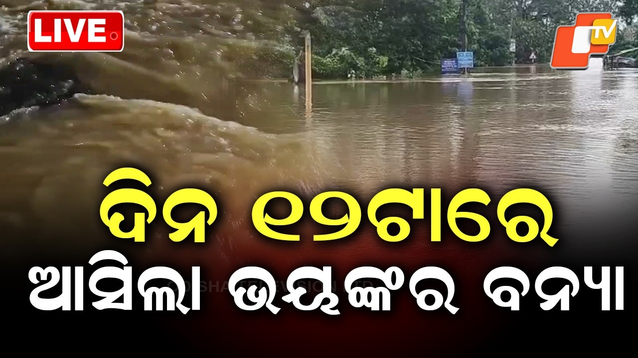 🔴Live | ଦିନ ୧୨ଟାର ବଡ ଖବର | 12PM Bulletin | 29th July 2026  | Odisha News | Odia News | OTV