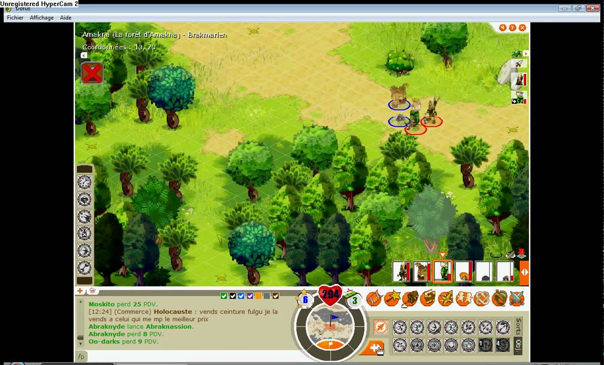 Combat Dofus Destrukchen & Oo-darks(bandit archer)vs Abraknyde et Cie...