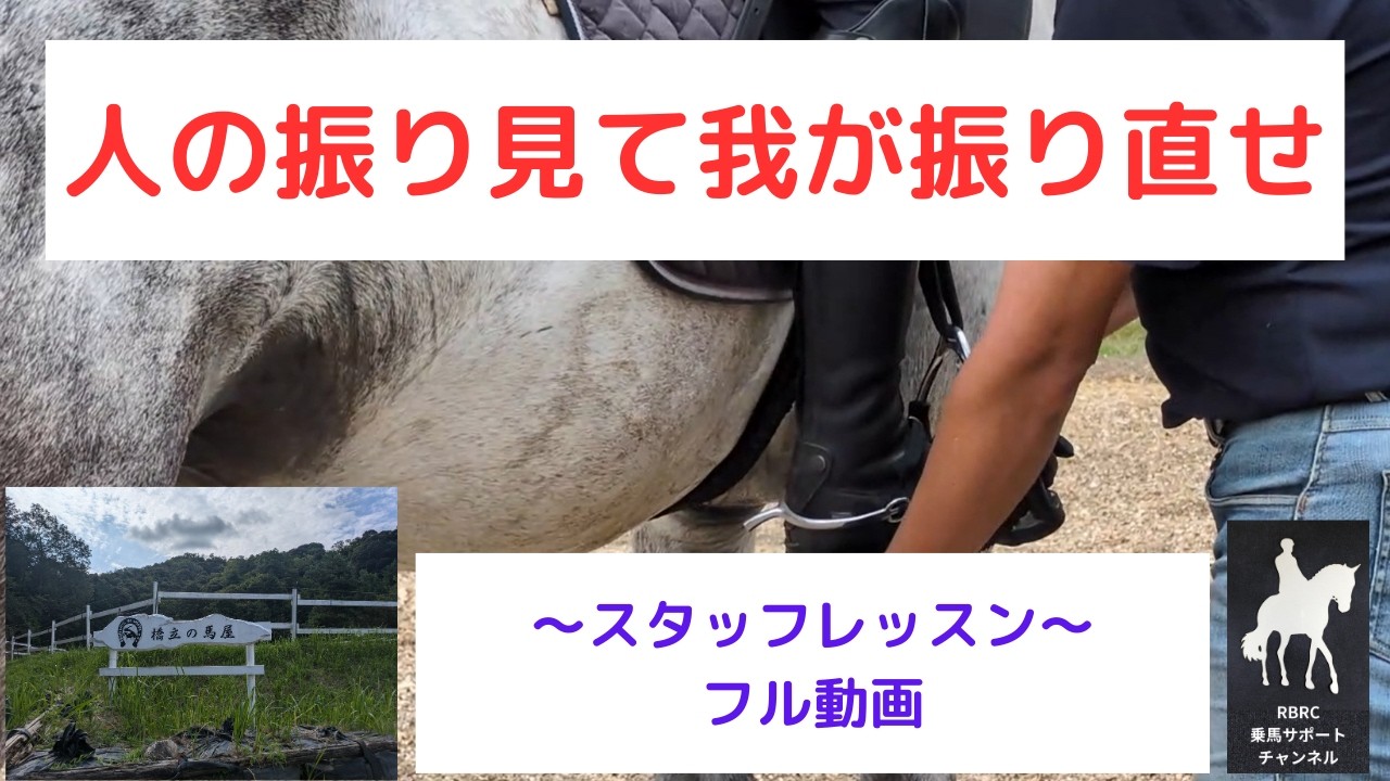 【乗馬・馬術】ライダーの体の使い方や馬のトレーニング・スタッフレッスン