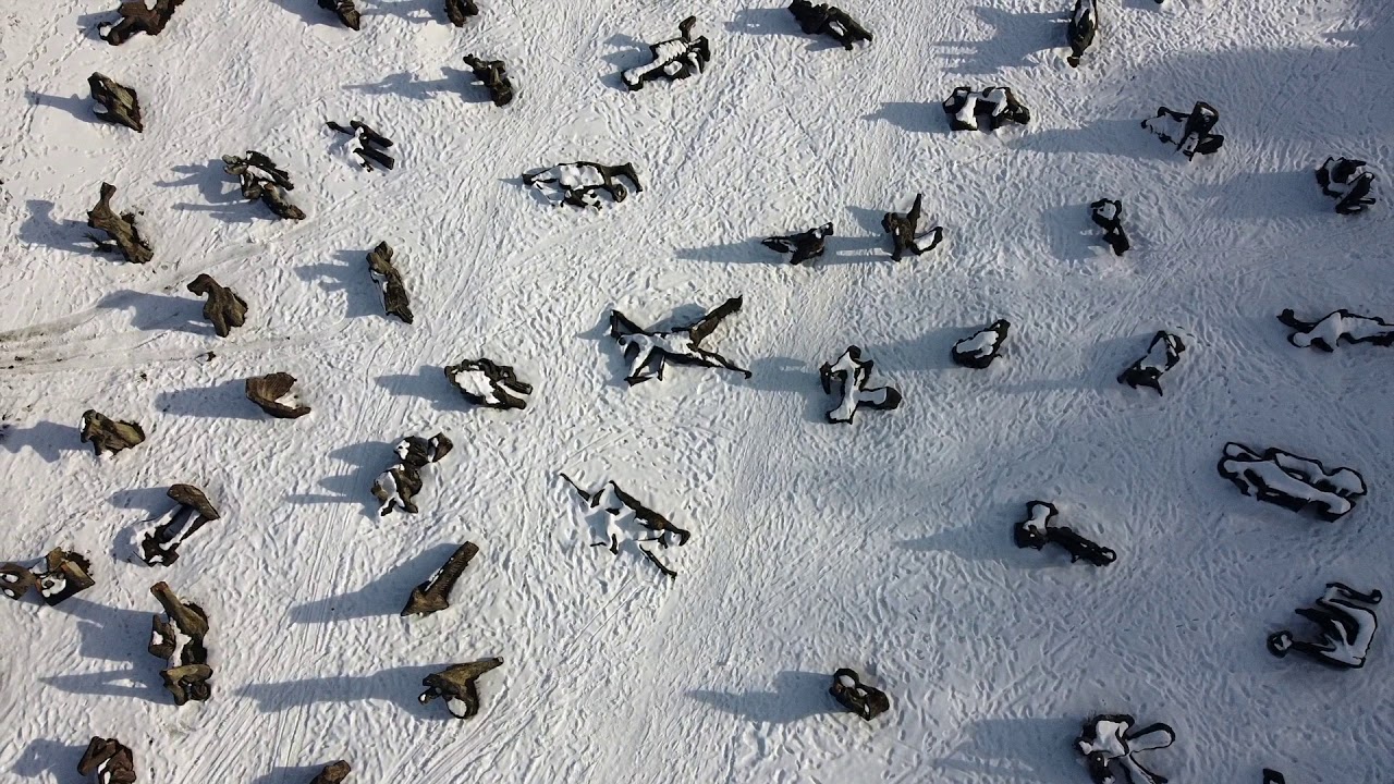 Drone: Figurenfeld Eichstätt / Winter