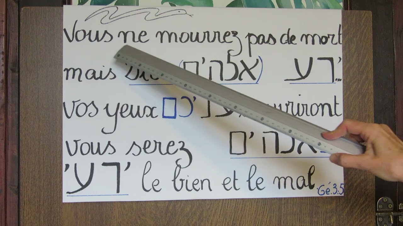 24- L'arbre de la connaissance du bien et du mal
