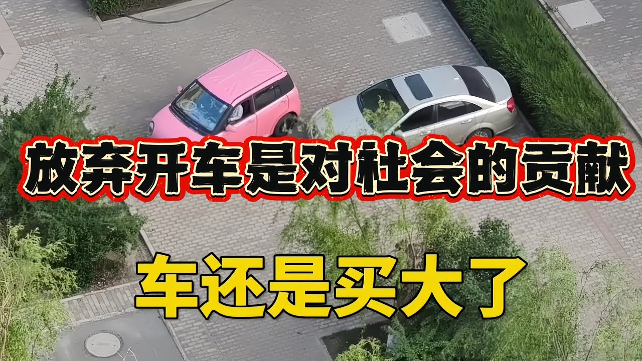 🤔 你有没有想过，你可能根本不适合开车？