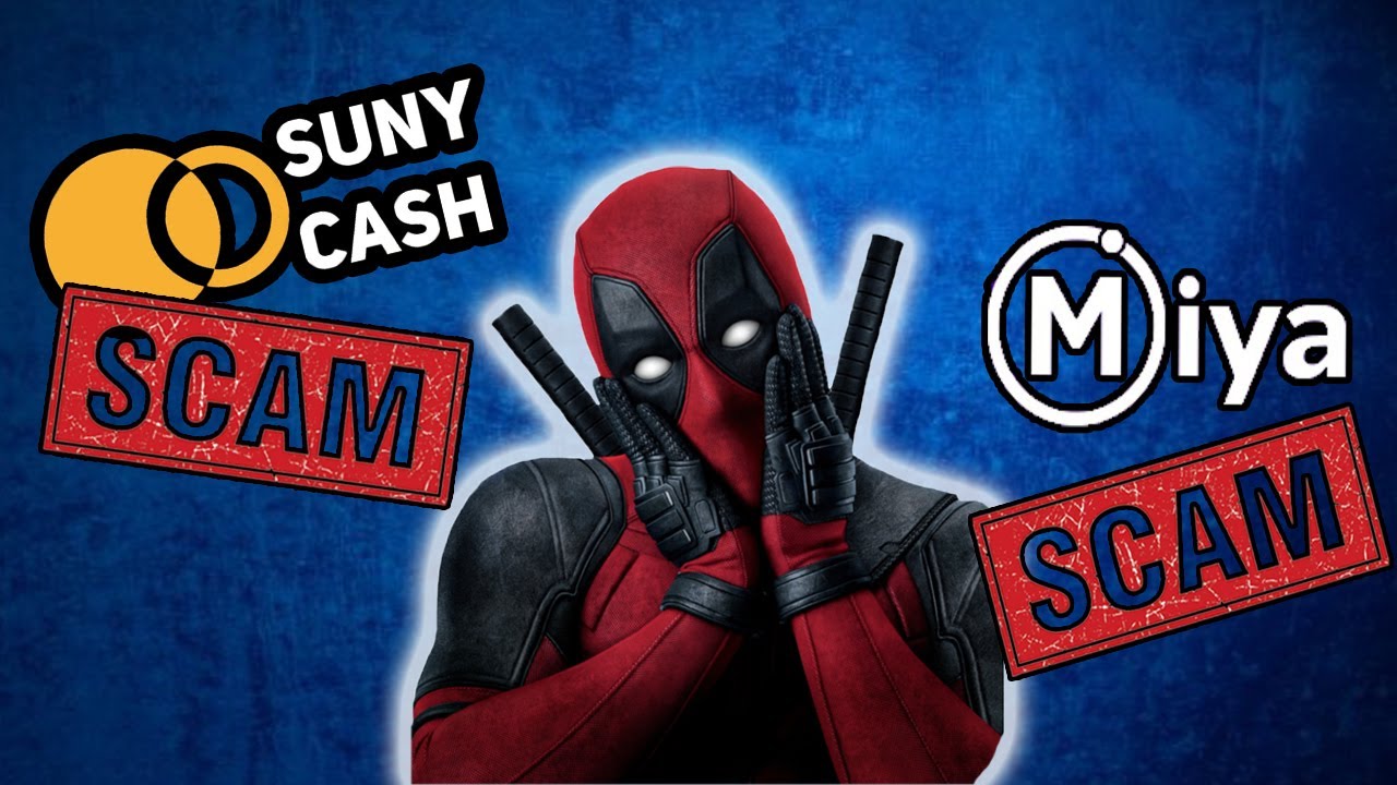 Miya Holding | Suny Cash | Scam проектов | Miya клон B2B Jewelry | Сани быстрый скам