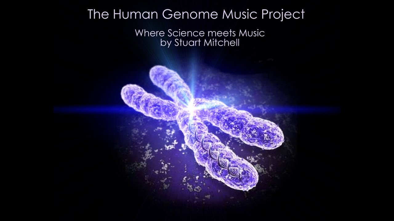 THE HUMAN GENOME MUSIC PROJECT - CHROMOSOME 1