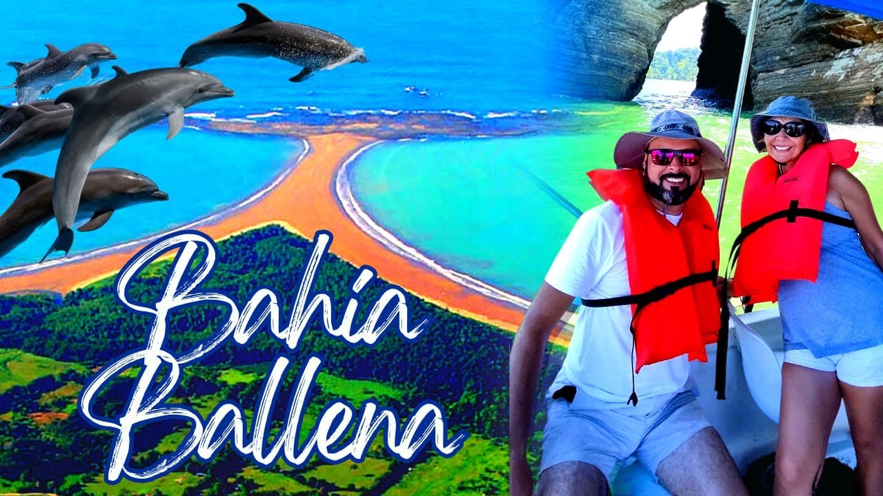 🐳 «Незабываемый опыт» в национальном парке Марино Бальена... Тур с дельфинами!