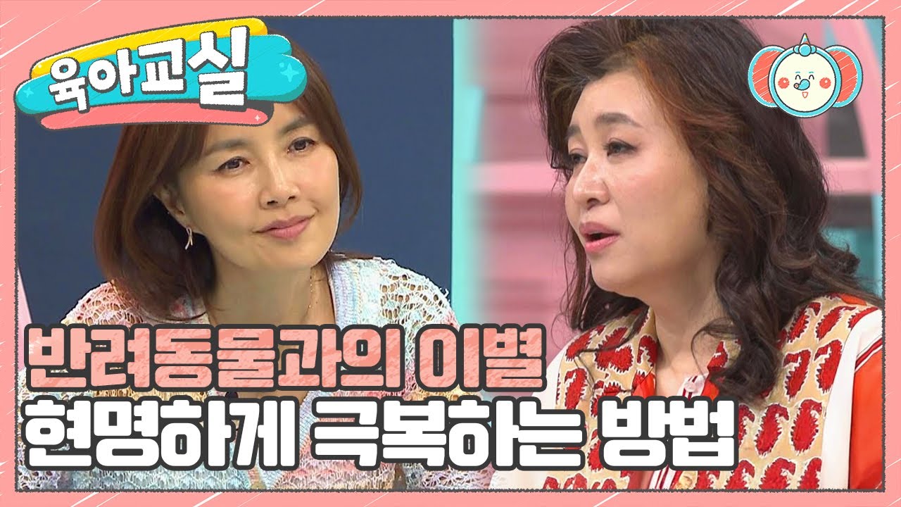[미방분-육아교실] 충분한 이별의 과정이 없다면 우울증을 겪을 수 있다!? 반려동물과의 이별을 극복하는 방법 | 요즘 육아 금쪽같은 내새끼 249 회