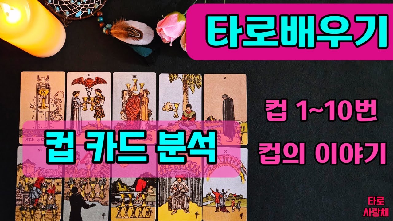 [타로배우기]마이너 컵핍카드/타로수업/타로입문/타로기초 #타로무료강의 #타로기초강의 #타로공부 #타로리딩 #타로사랑채