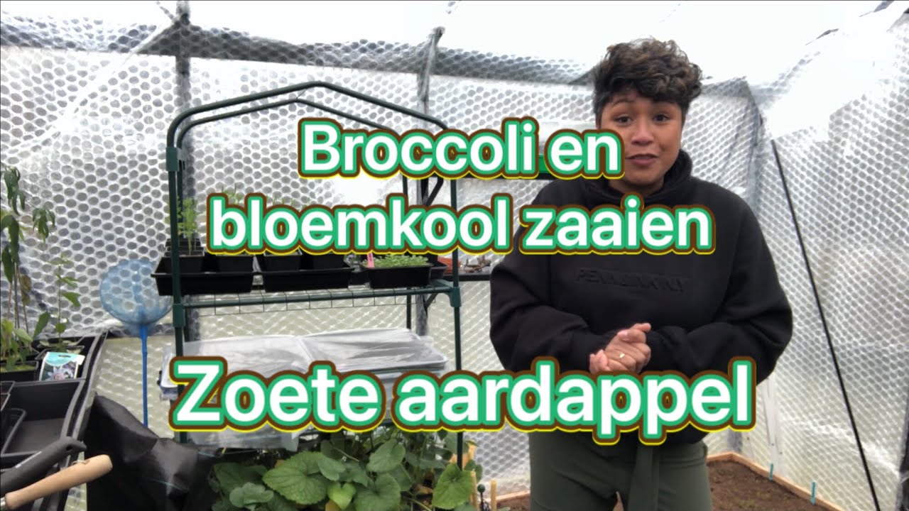 Mijn moestuin avontuur! #11 Broccoli en bloemkool zaaien, zoete aardappel.