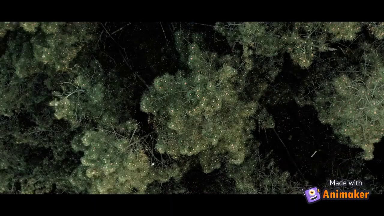 ECOSCHOOL-INTRODUCCI&Oacute;N DE MARCA