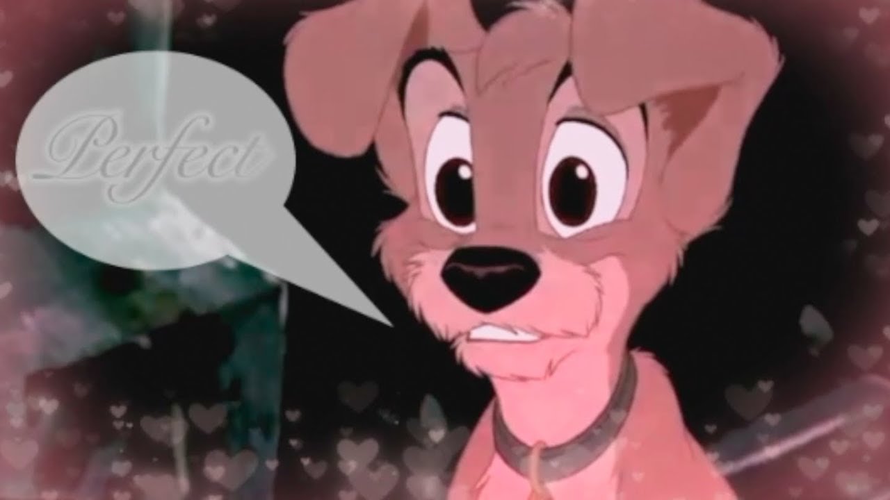 Perfect {animash} AMV