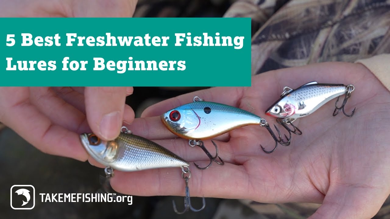 5 Best Freshwater Fishing Lures for Beginners