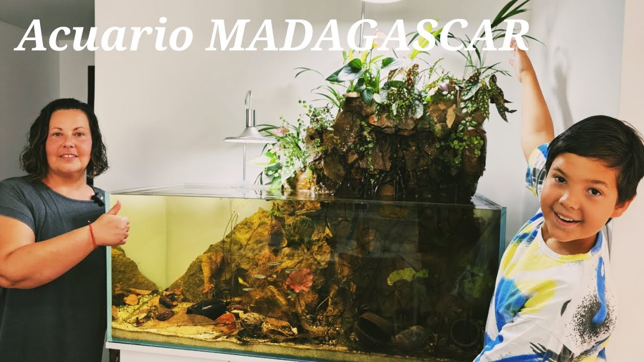 ACUARIO BIOTOPO MADAGASCAR | Dario y Cris