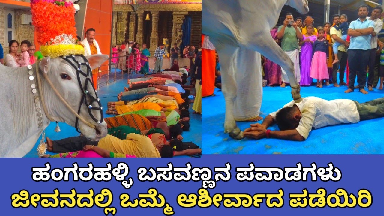 ಹಂಗರಹಳ್ಳಿ ಬಸವಣ್ಣನ ಪವಾಡಗಳು | ಬೇಡಿದ ವರವ ಕೊಡುವ ನಂದಿ | ಕುಡಿತದ ಚಟಬಿಡಿಸುವ ಹಂಗರಹಳ್ಳಿ ಬಸವಣ್ಣ 🙏