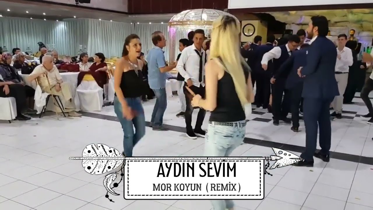 Aman Mor Koyun  ( remix )  -  Aydın Sevim