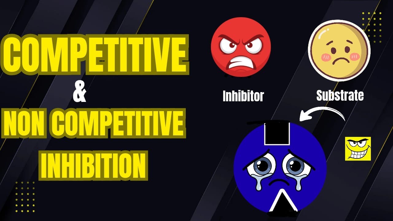 Competitive vs Non-Competitive Inhibition | Km, Vmax & Graphs Explained (Inter & AS Level Biology)