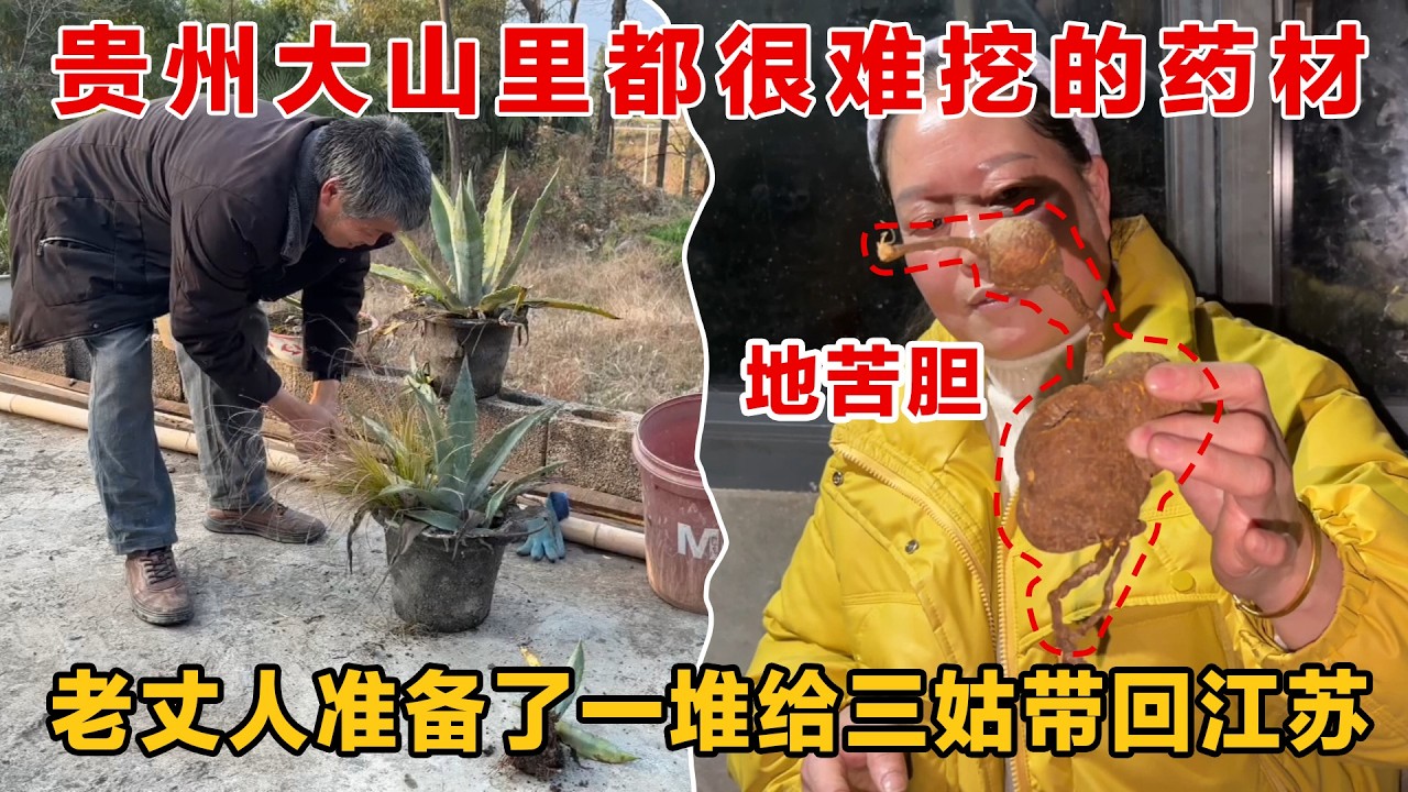 远嫁江苏的三姑回贵州娘家过年，当哥哥的老丈人给妹妹准备了一堆中药材带回去调理身体，药材有价，亲情无价