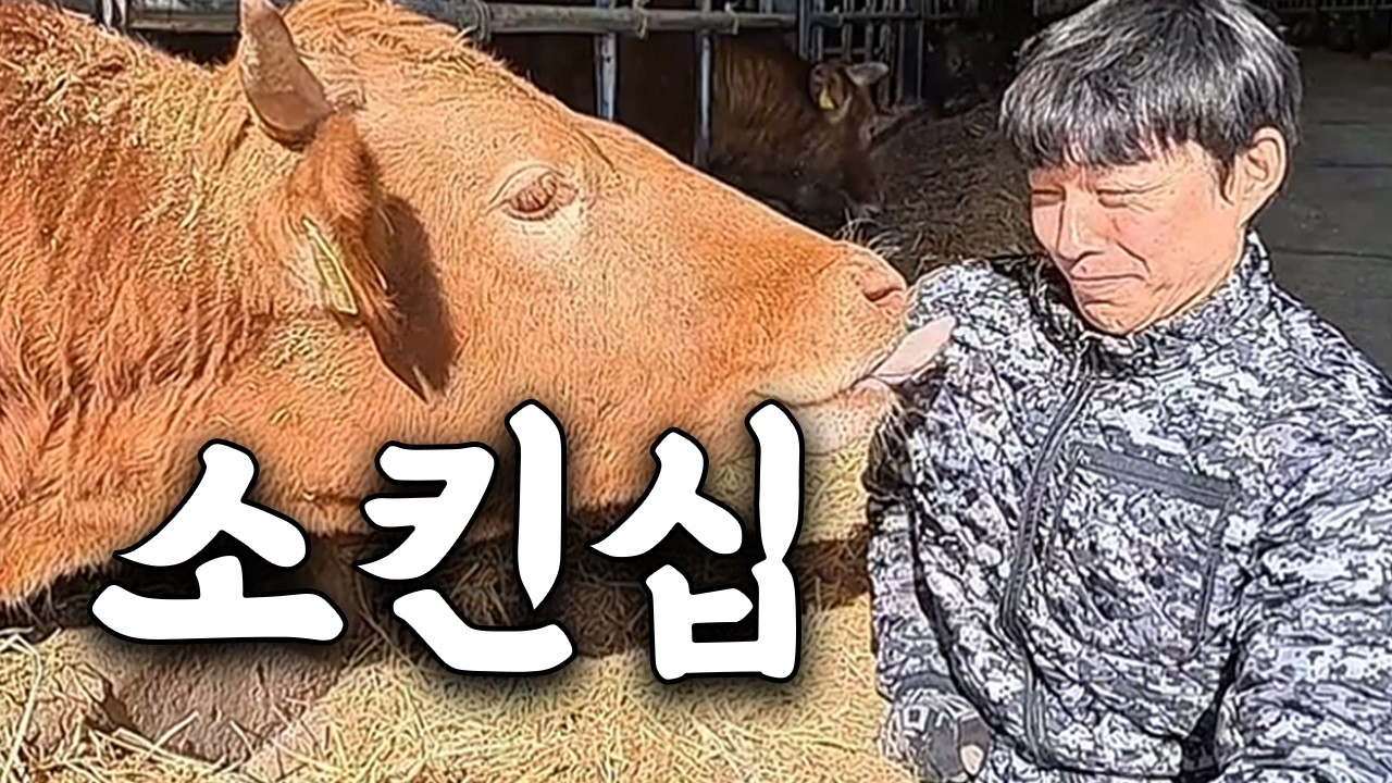 축산업 일일 알바