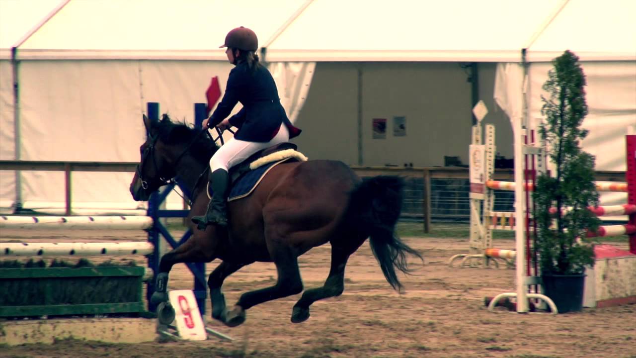 Chute de cheval concours La Roche sur Yon
