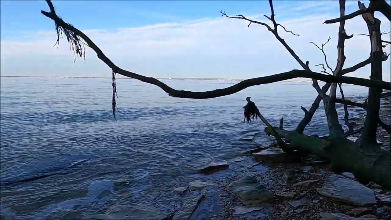 Virtual Walk - Church Road & Ladies Walk To The Beach - Binstead, Isle Of Wight - February 2022 #iow