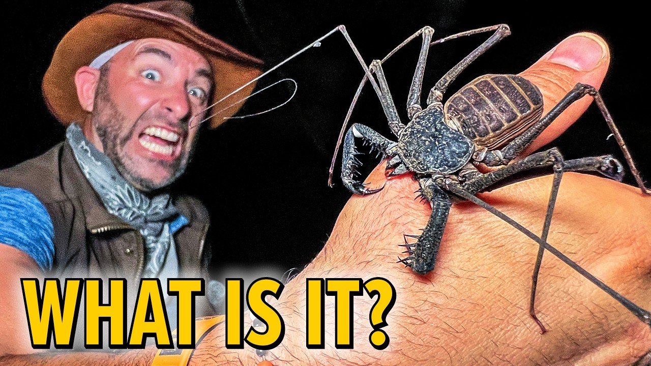 Mysterious Cave Creature Caught!