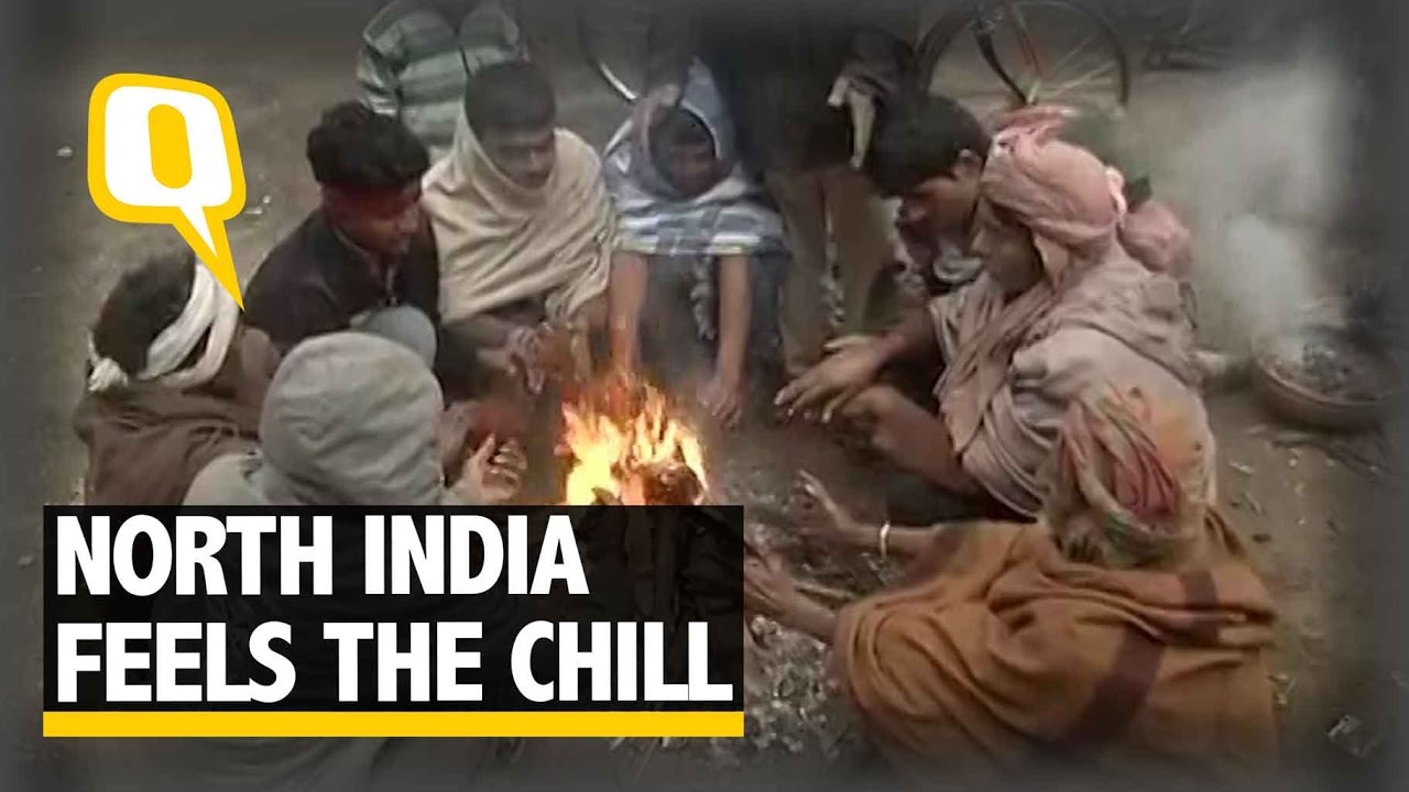 The Quint: North India Shivers As Temperature Drops Due to Cold Wave