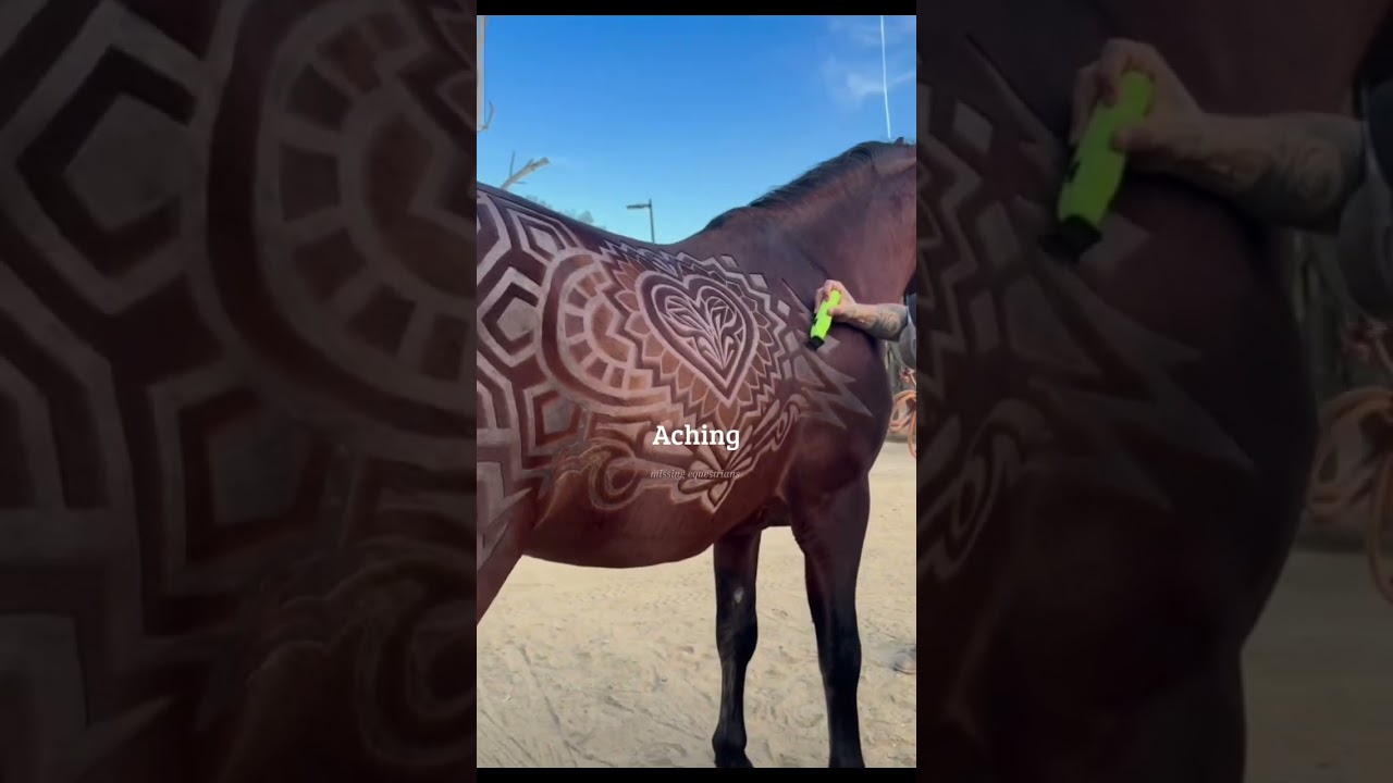 STOP HORSE ABUSE!! #viral #blowup #horse #equestrian #edit #trend #trending #short
