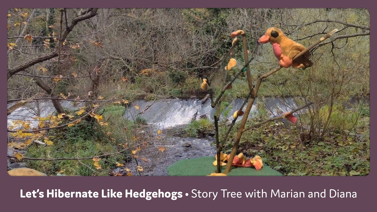 Let's Hibernate Like Hedgehogs | The Story Tree with Marian and Diana | Mighty Mega