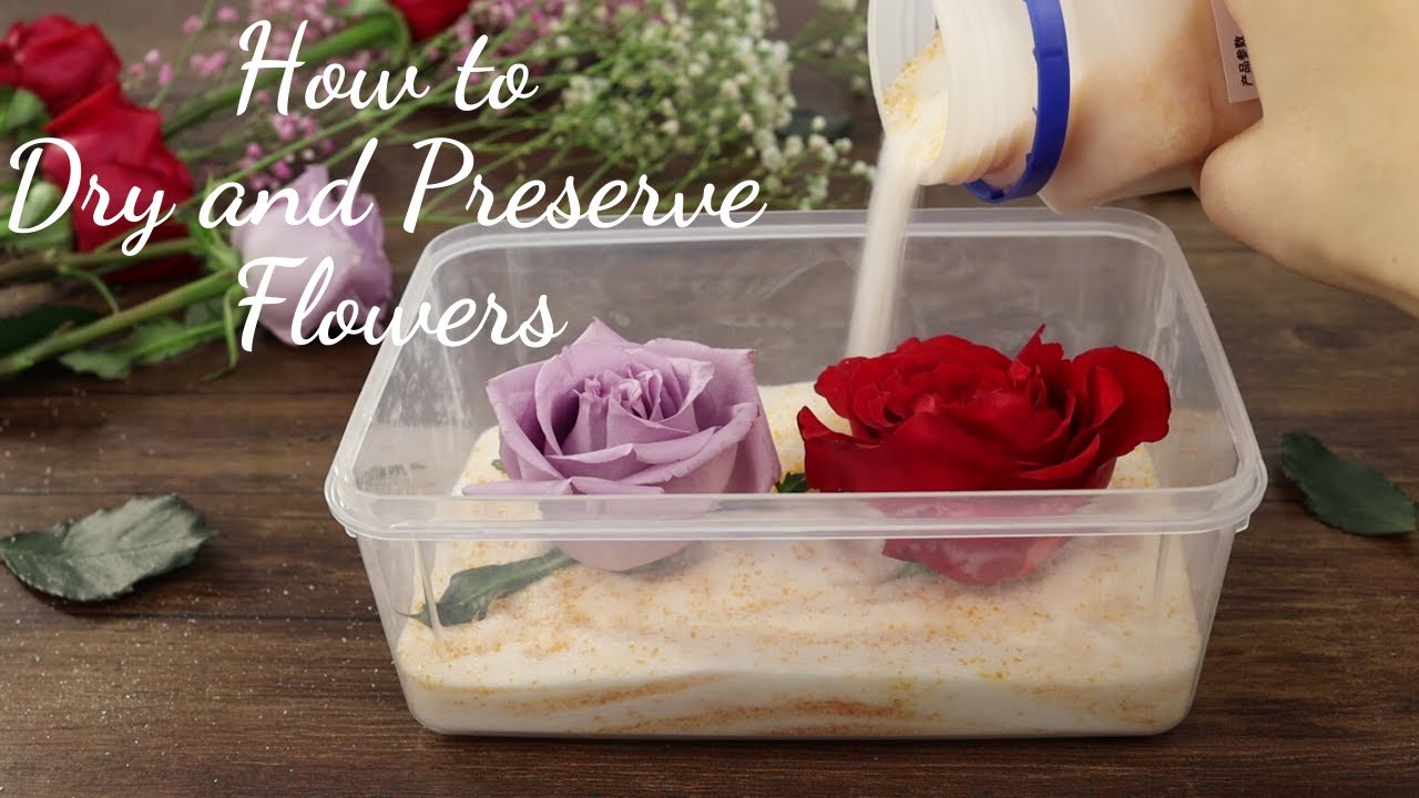 How to Dry and Preserve Flowers | DIY Dried Flower in Resin Art