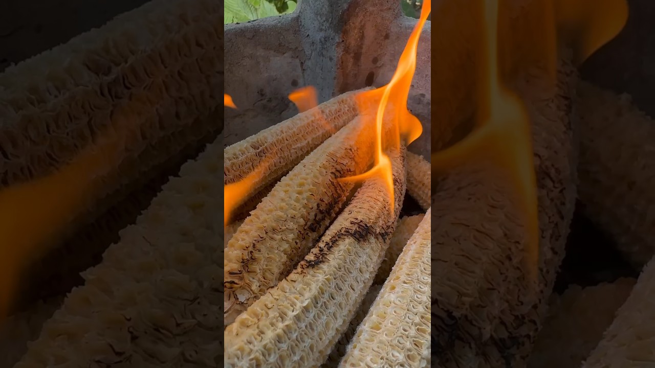 No Charcoal, Use a CORN COB! #grill #cooking #corn #steak #charcoal #primitive #asmr #firecooking