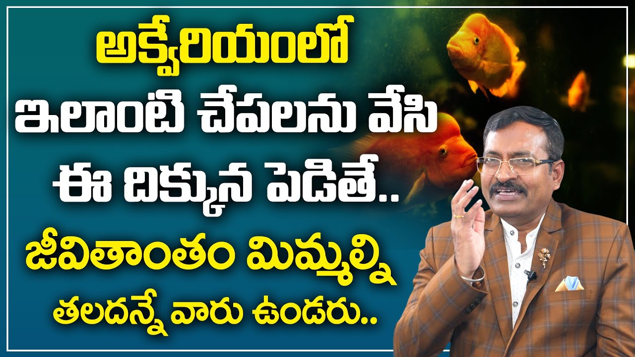 BVSS Reddy : Where To Keep Aquarium In House ||  Fish Aquarium Vastu || Best Vastu Tips || M Qube