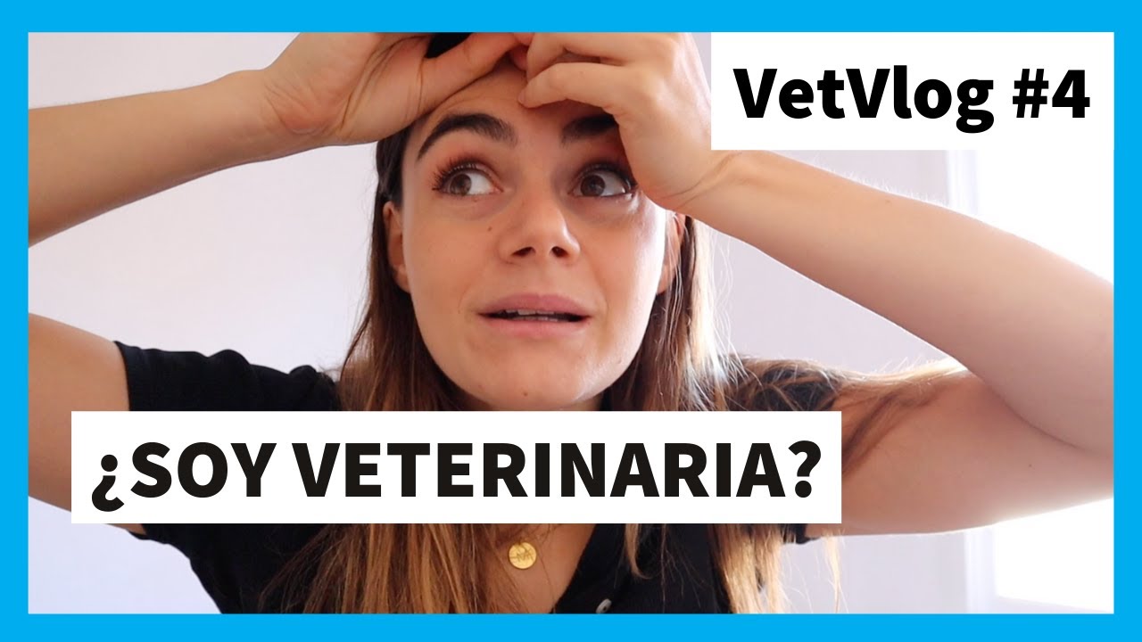¿Soy veterinaria? TODA LA VERDAD- Asistimos a un evento online sobre negocios online | VetVlog #4