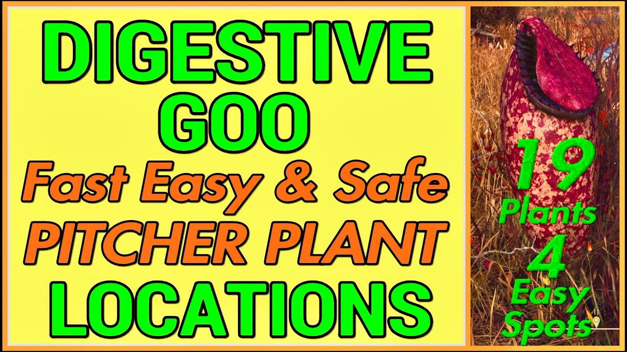 DIGESTIVE GOO