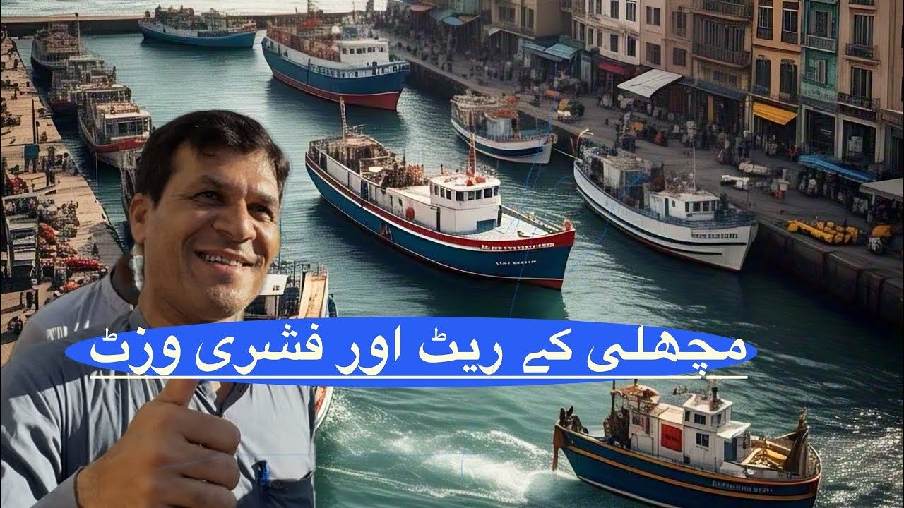 Fish price & harbour tour 16/3/25