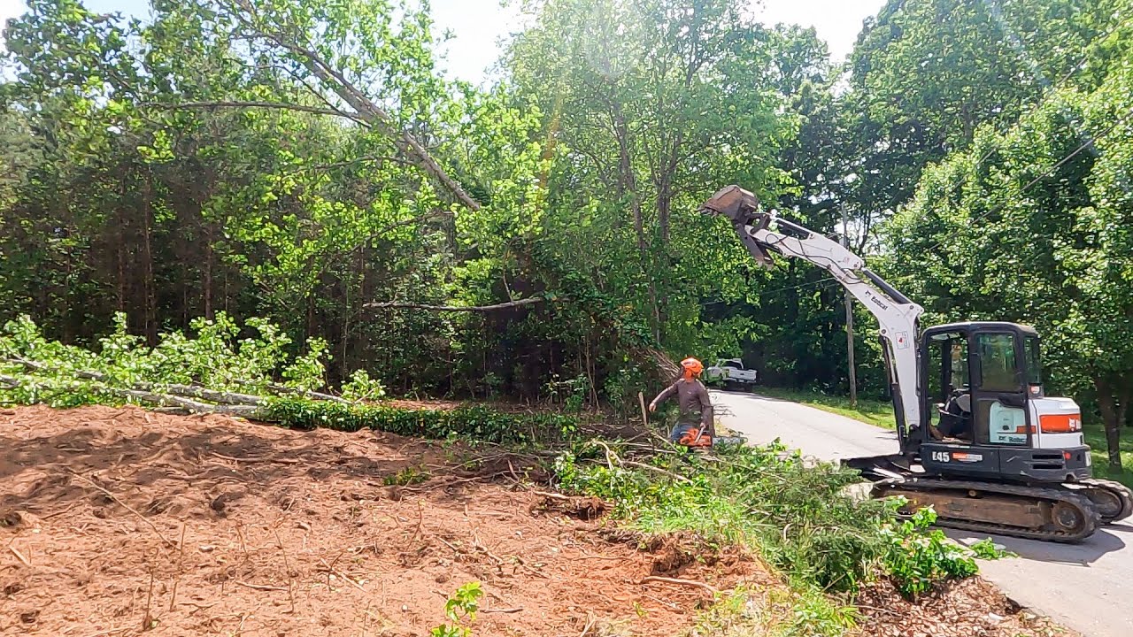 Dropping Trees and Pushing Dirt on one acre lot with IDigit4